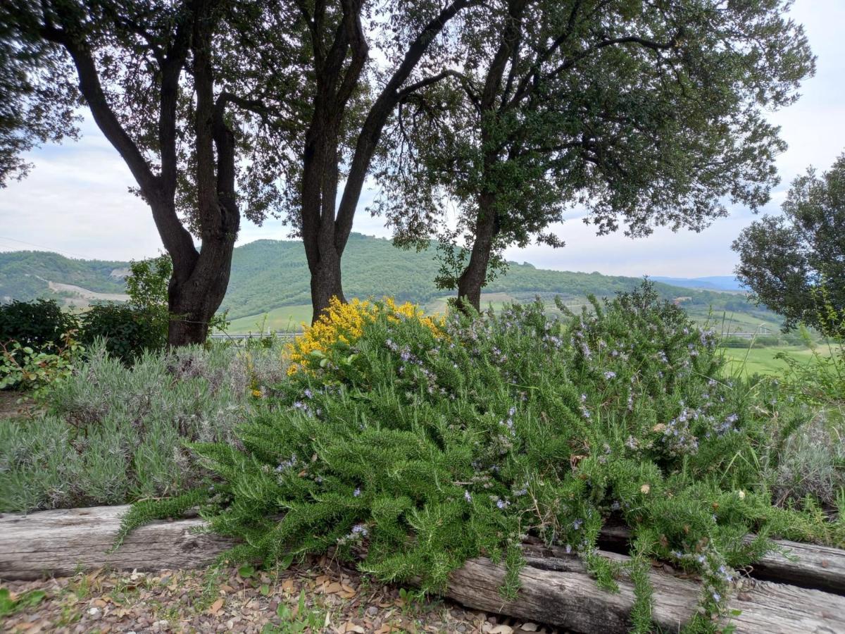 Agriturismo Riparossa Allerona Екстер'єр фото