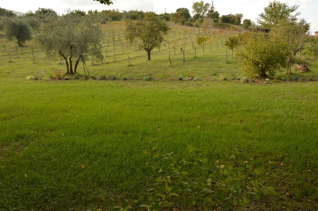 Agriturismo Riparossa Allerona Екстер'єр фото