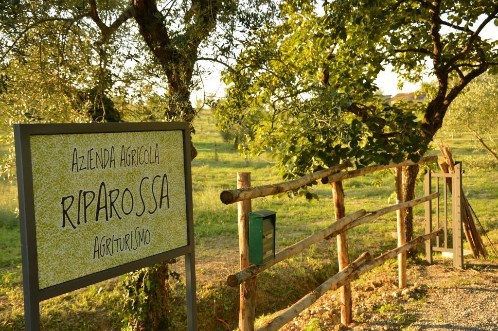 Agriturismo Riparossa Allerona Екстер'єр фото