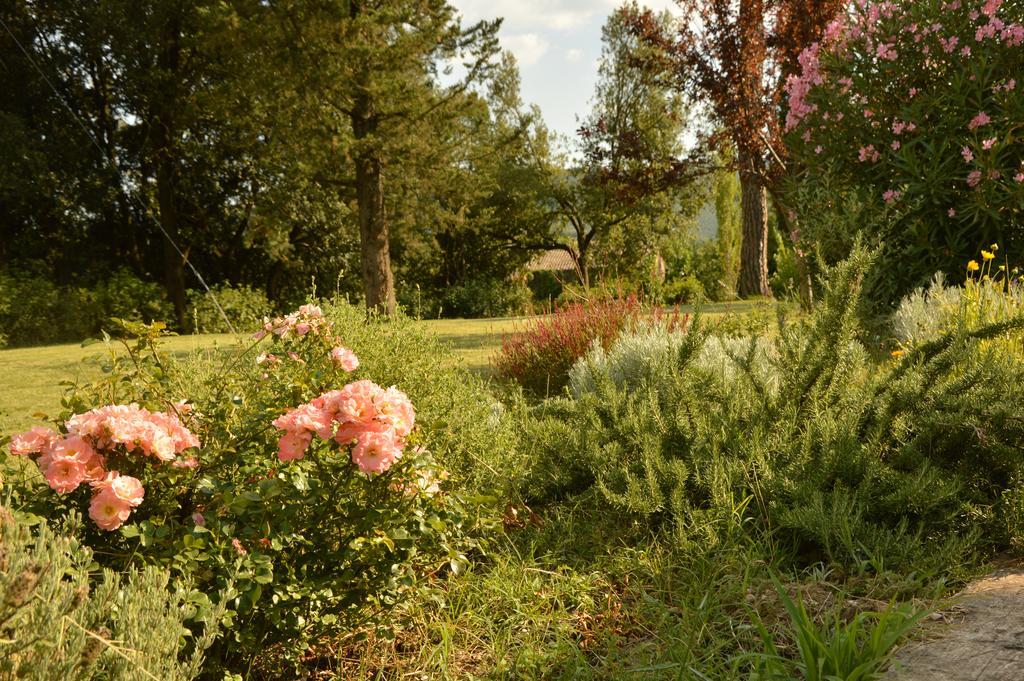 Agriturismo Riparossa Allerona Екстер'єр фото