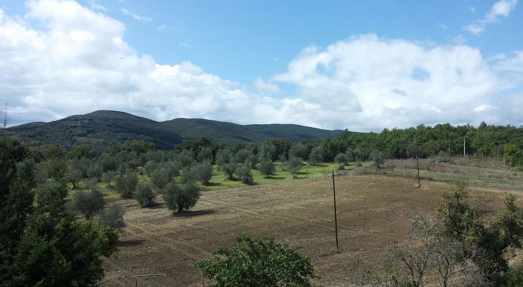 Agriturismo Riparossa Allerona Екстер'єр фото