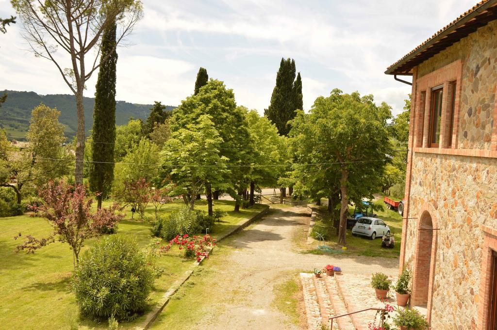 Agriturismo Riparossa Allerona Екстер'єр фото