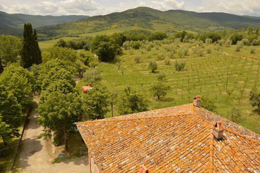 Agriturismo Riparossa Allerona Екстер'єр фото
