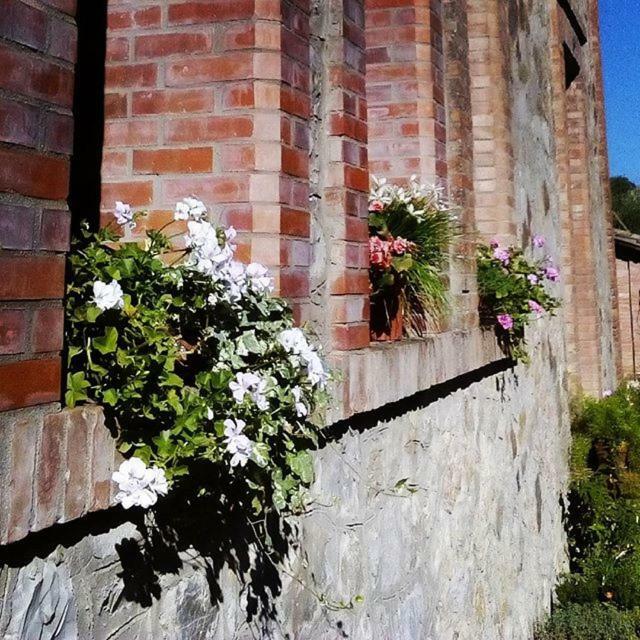 Agriturismo Riparossa Allerona Екстер'єр фото