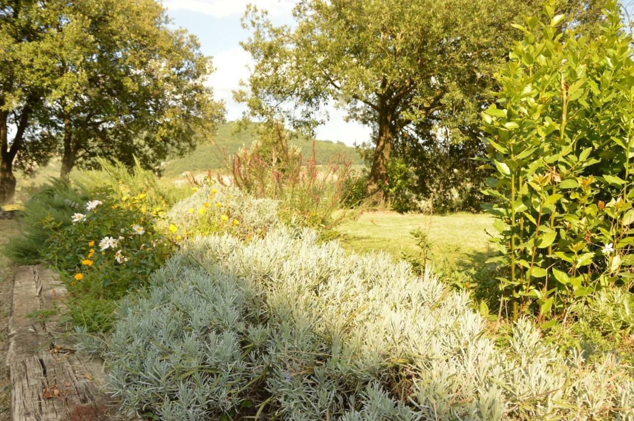Agriturismo Riparossa Allerona Екстер'єр фото