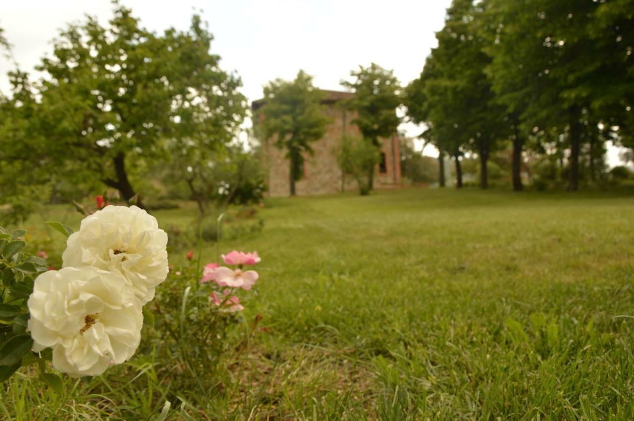 Agriturismo Riparossa Allerona Екстер'єр фото