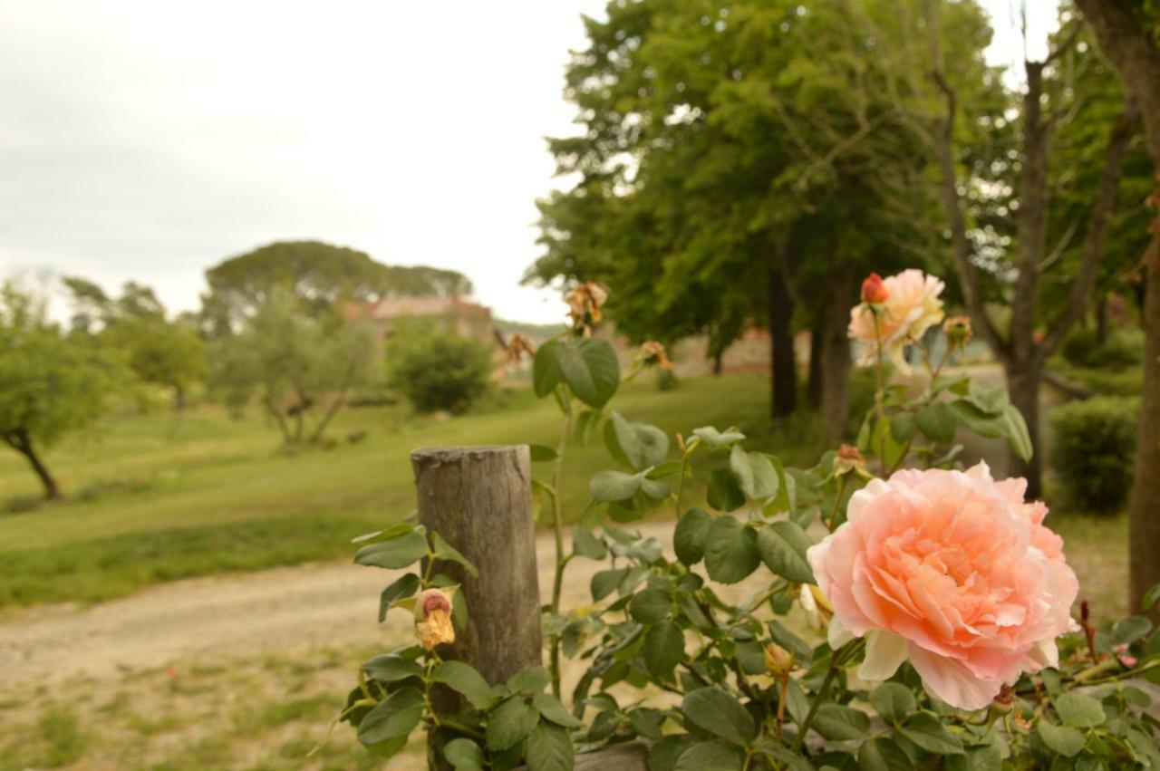 Agriturismo Riparossa Allerona Екстер'єр фото