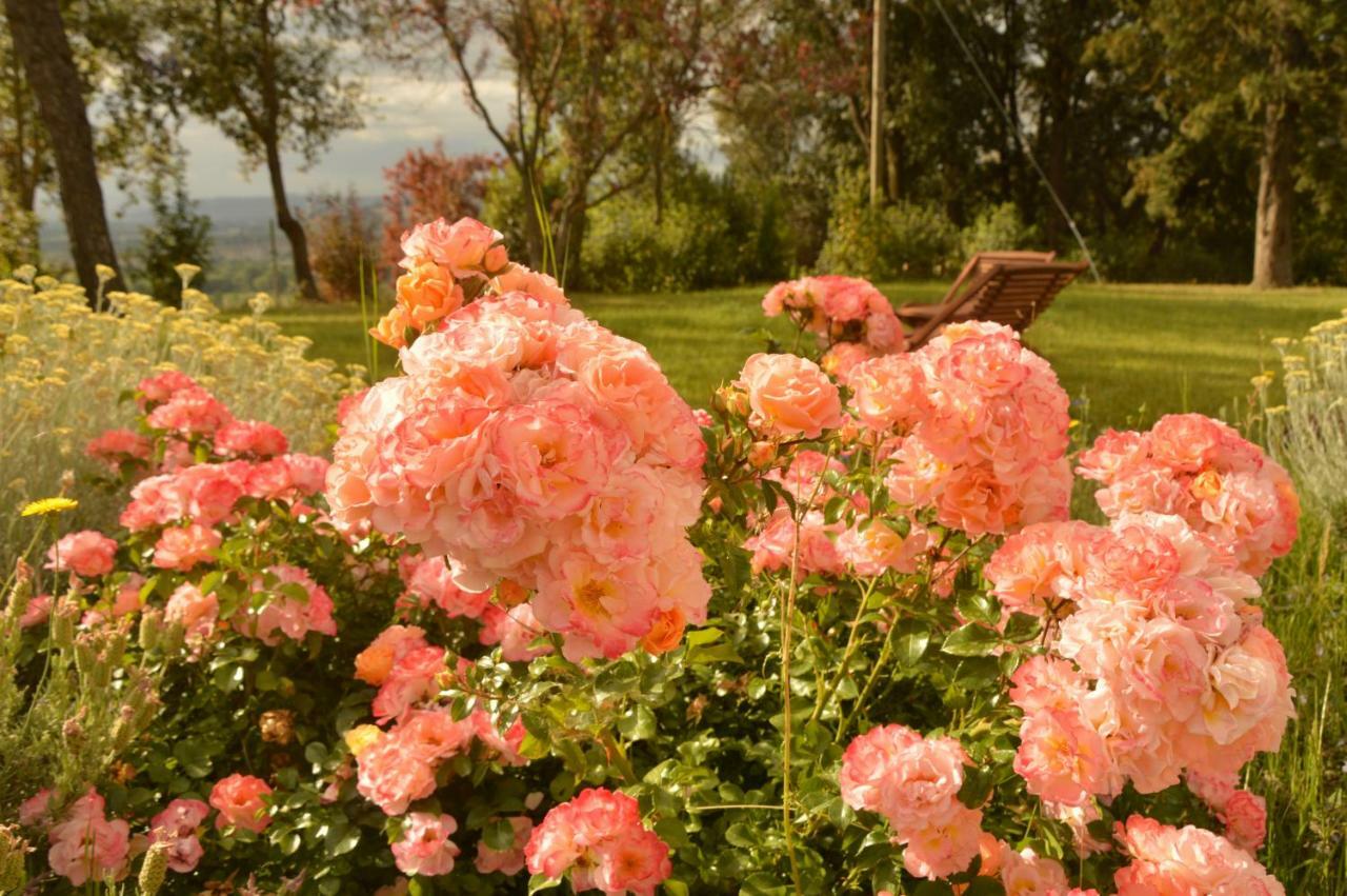 Agriturismo Riparossa Allerona Екстер'єр фото